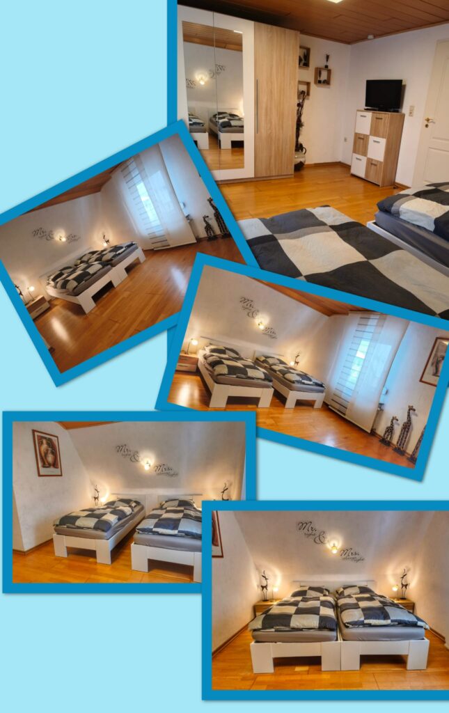 WhatsApp Image 2026-02-13 at 17.22.27