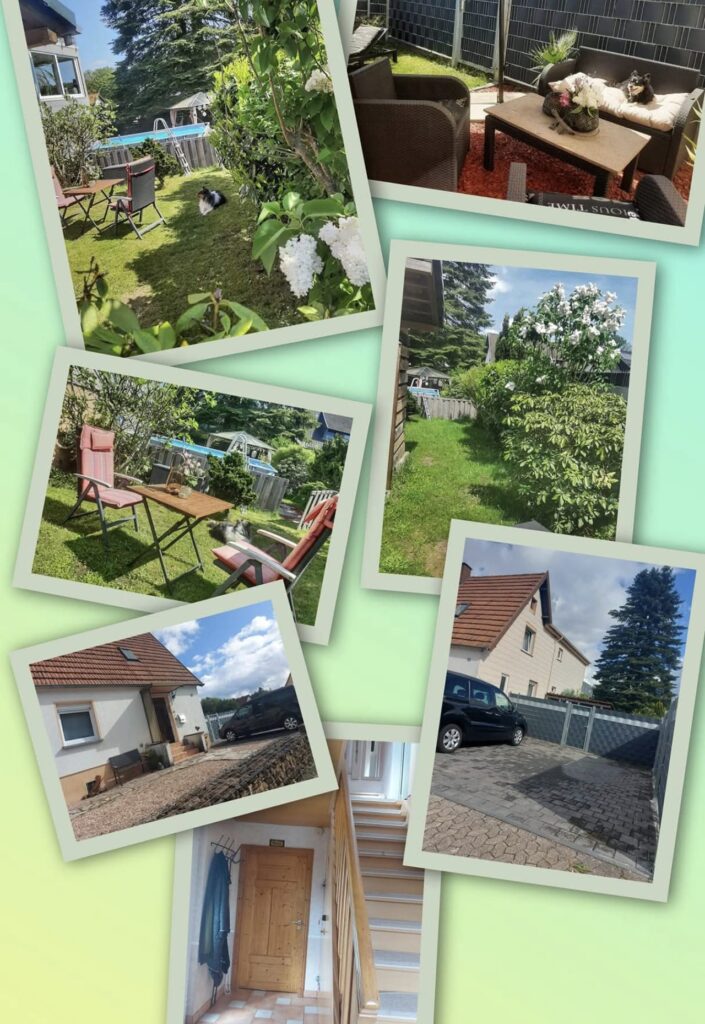 WhatsApp Image 2026-02-13 at 17.25.03