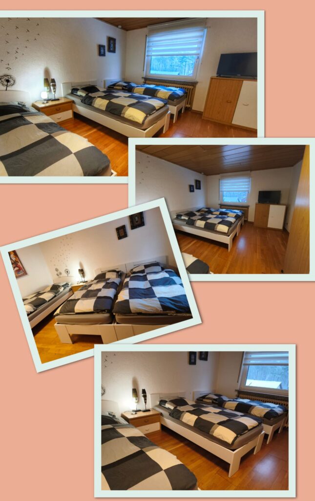 WhatsApp Image 2026-02-13 at 17.31.22